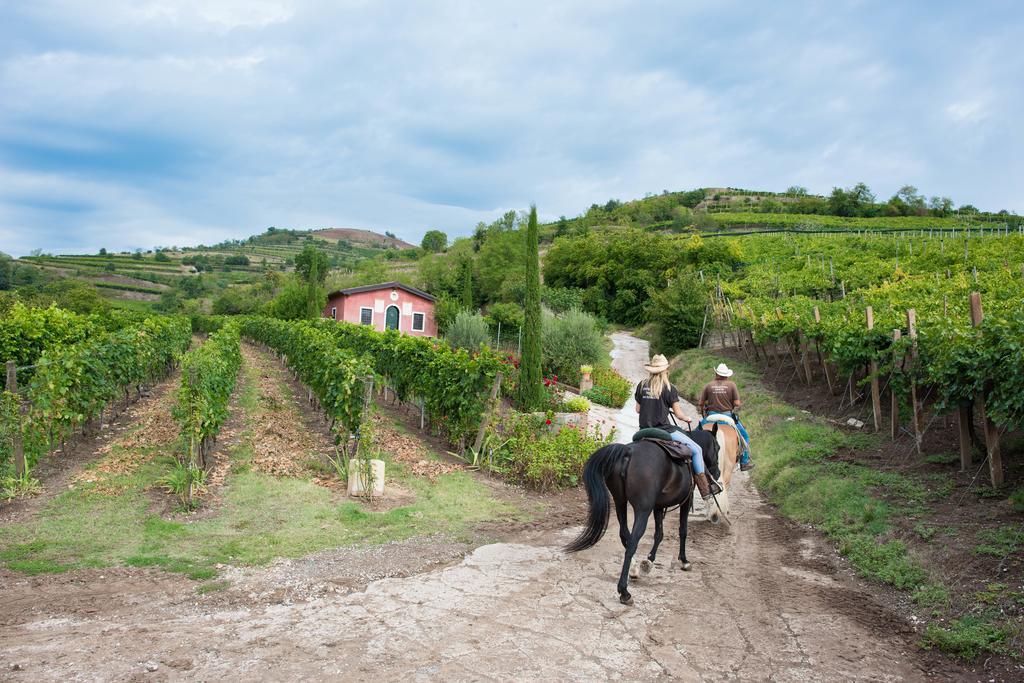 Casa Costa Relais B&B Monteforte d'Alpone Экстерьер фото
