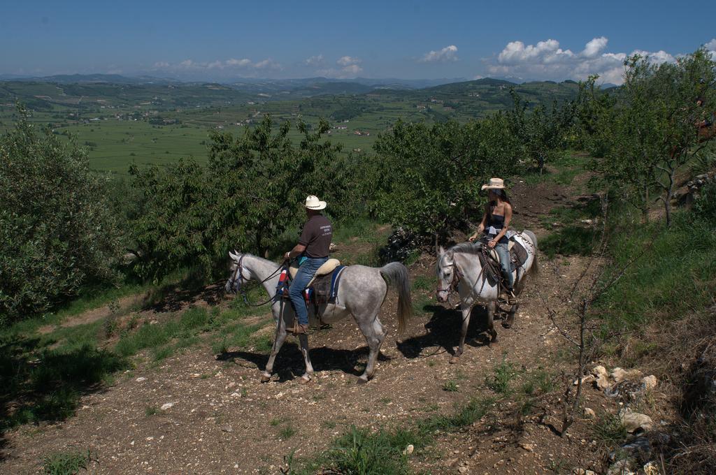 Casa Costa Relais B&B Monteforte d'Alpone Экстерьер фото