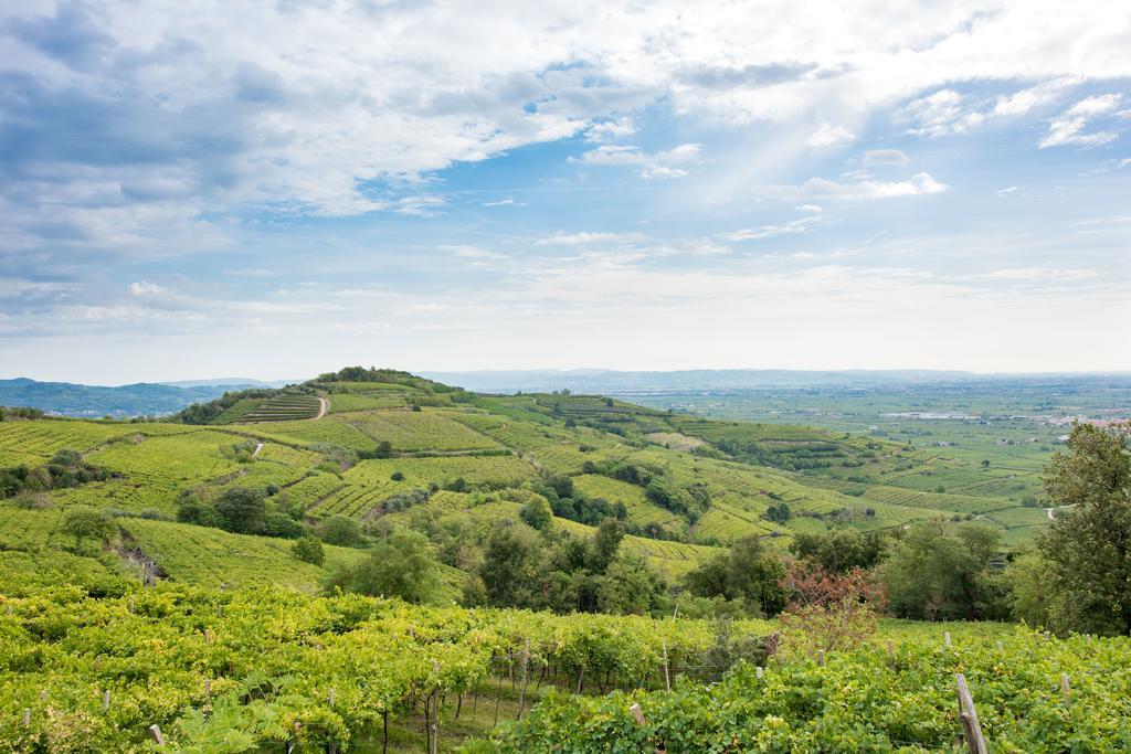 Casa Costa Relais B&B Monteforte d'Alpone Экстерьер фото